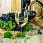 Il processo di produzione del vino: dall’uva alla bottiglia